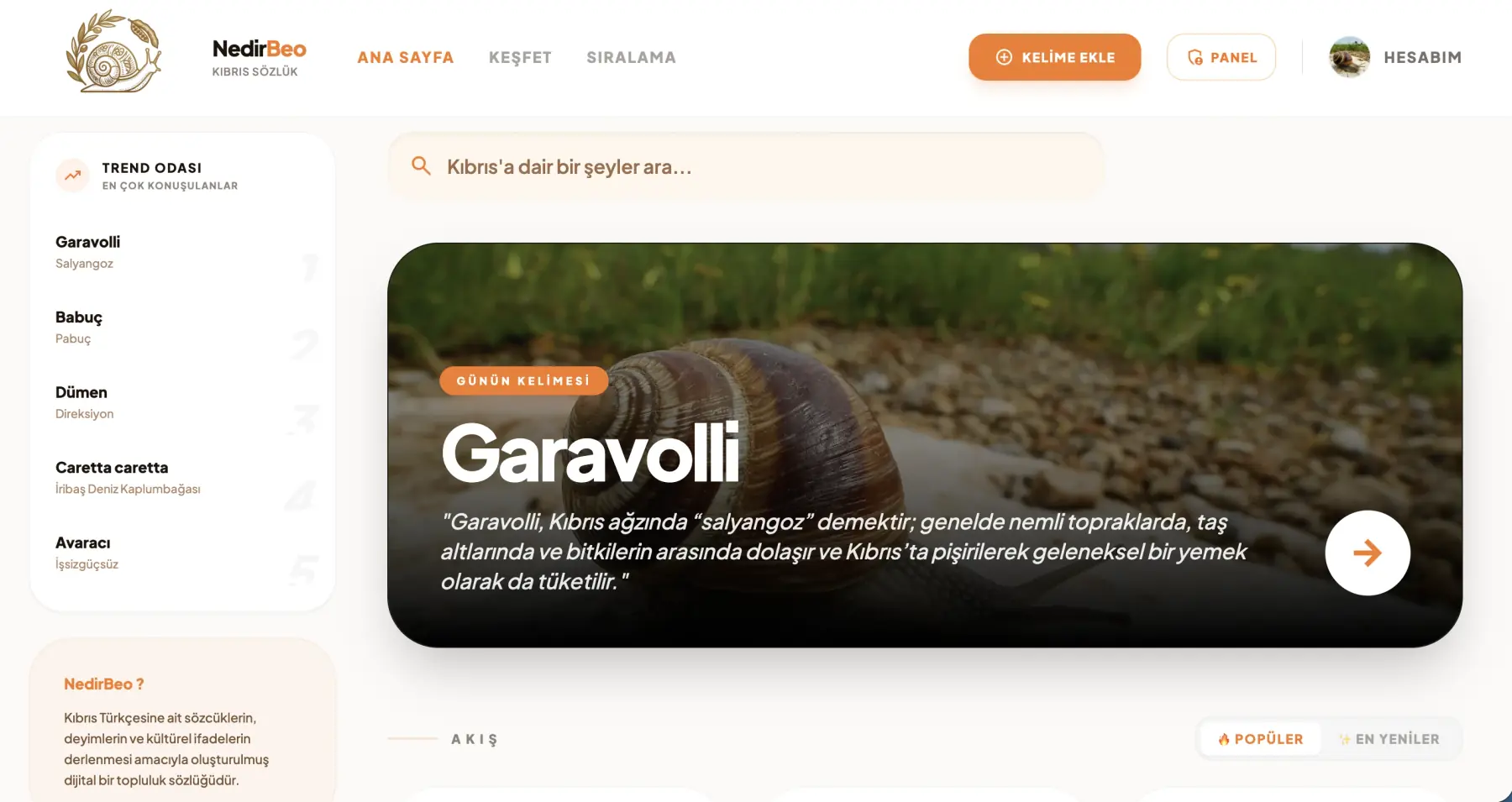 NedirBeo — Cypriot Turkish community dictionary web app by Asil Türkmen, built with React and Laravel